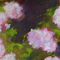 Champney's Pink Cluster