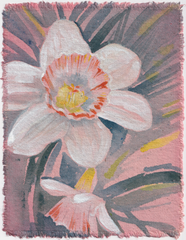 Daffodil