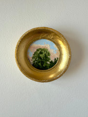 Sunset Treetops Mini III