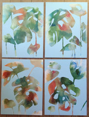 Monstera 4