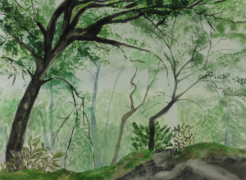 Linville Viaduct in Fog