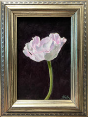 Tulip Study II