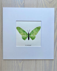 Butterfly No. 16