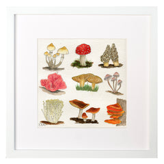 Mushrooms