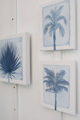 Indigo Palm II