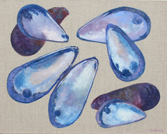 Maine Mussel Shells