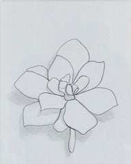 Abstract Succulent I