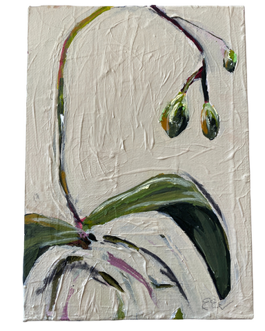 Orchid Bud 1