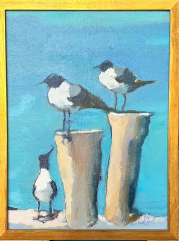 Bird Watching