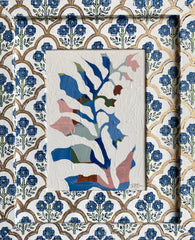 Solomon's Seal in Navy