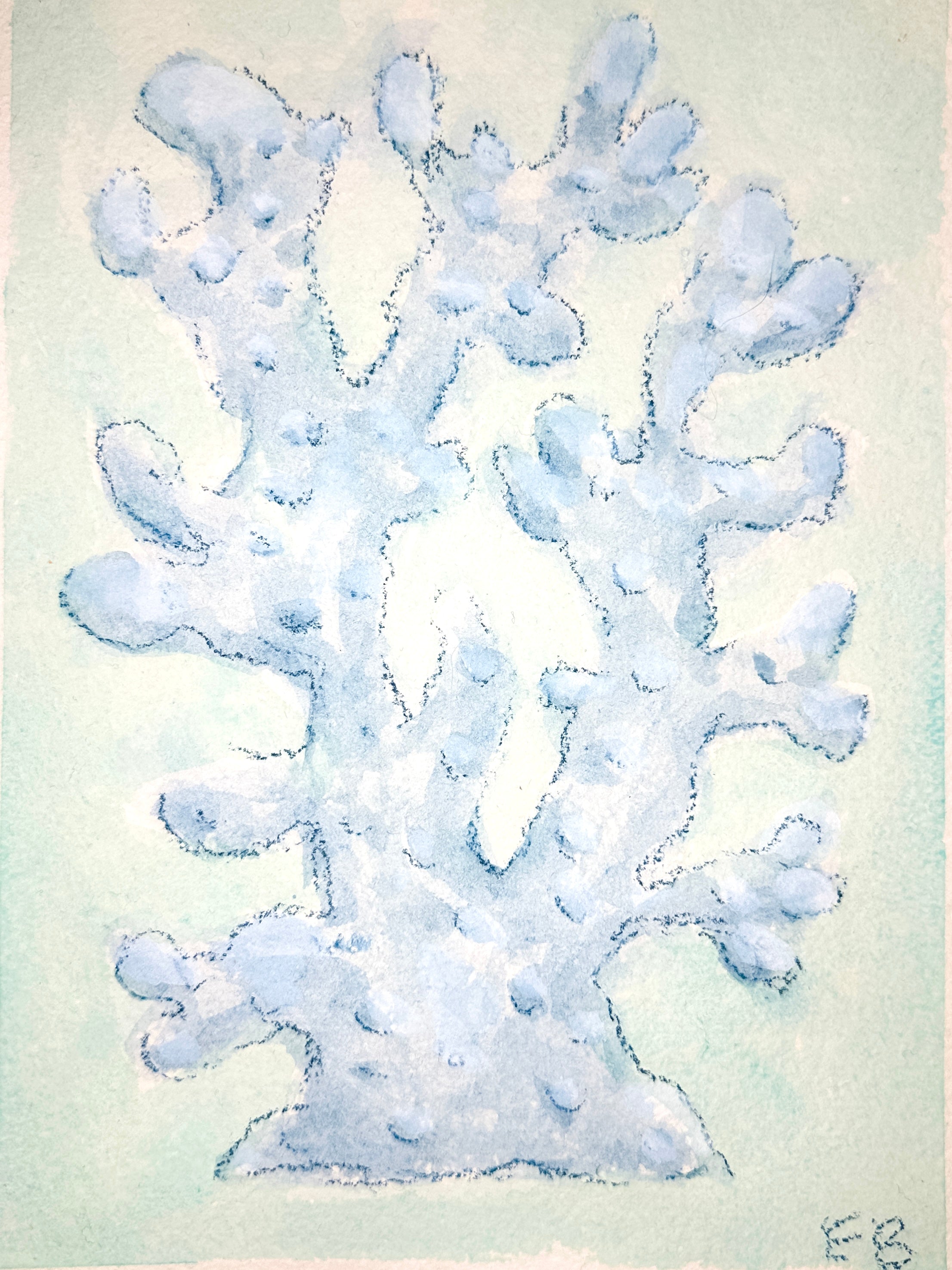Blue Coral No. 2
