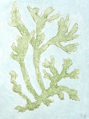 Chartreuse Seaweed No. 2