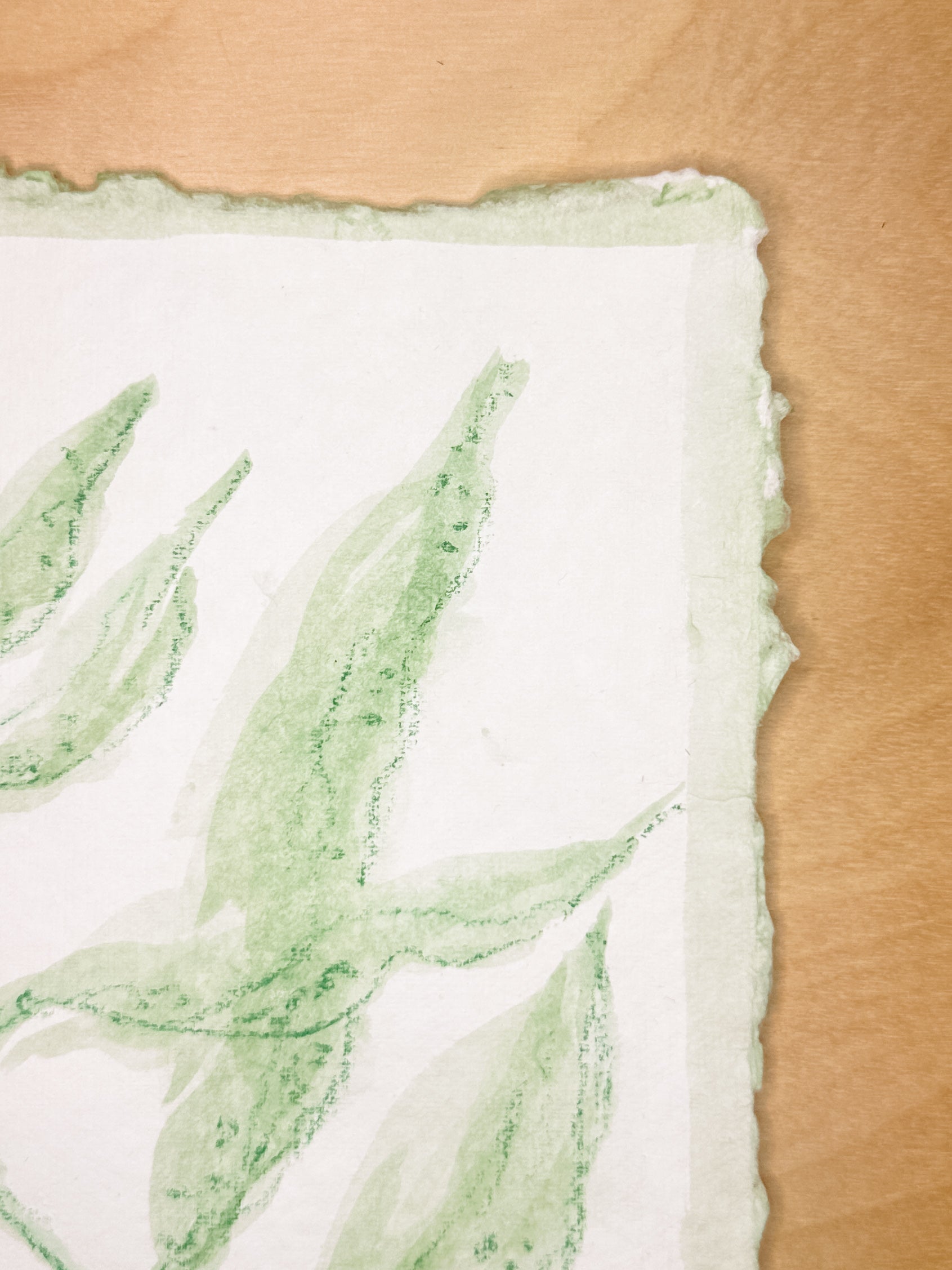 Green Sea Kelp No. 1