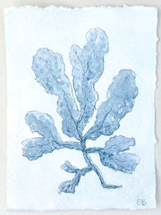 Indigo Seaweed No. 2