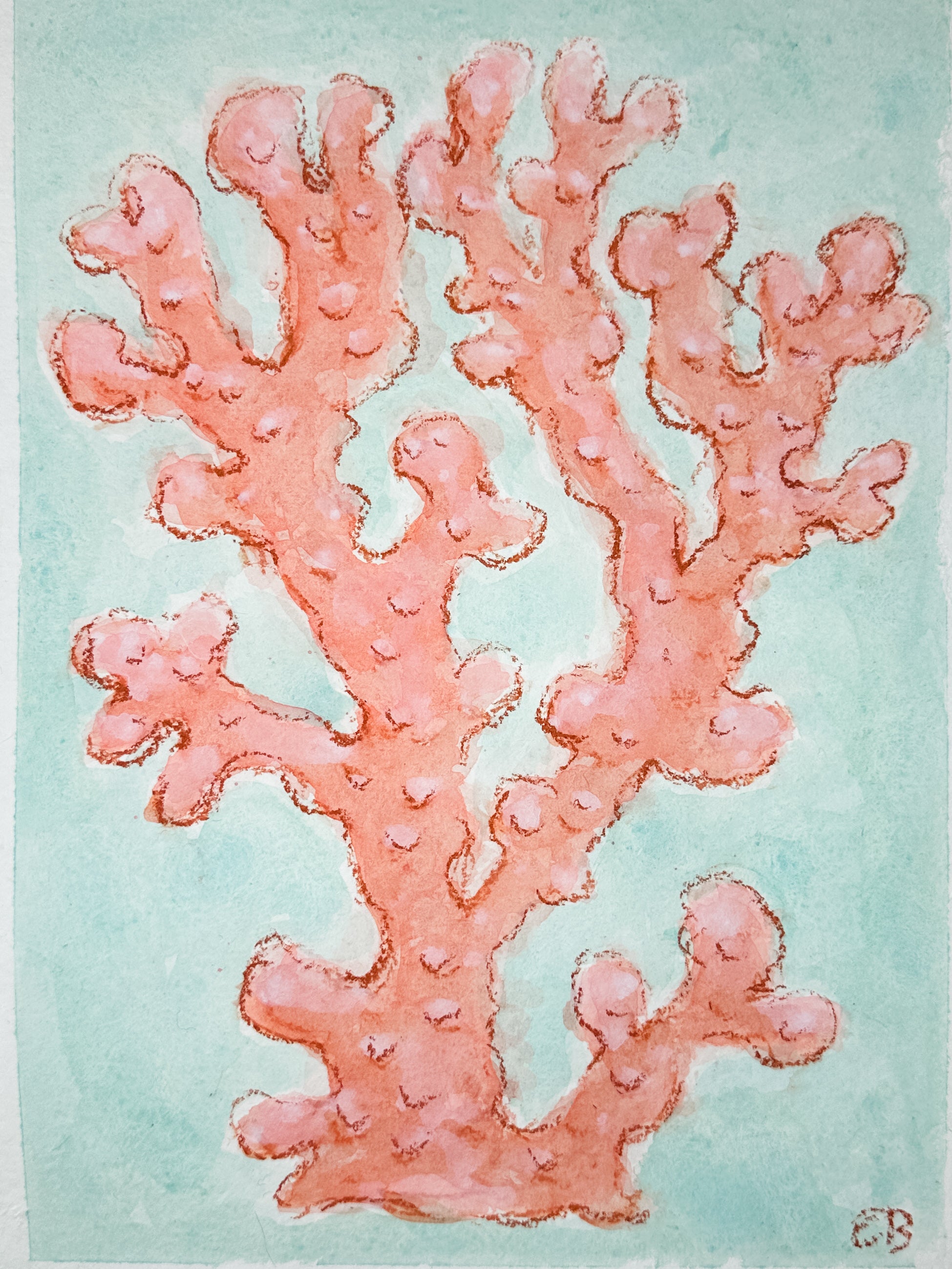 Red Coral No. 1