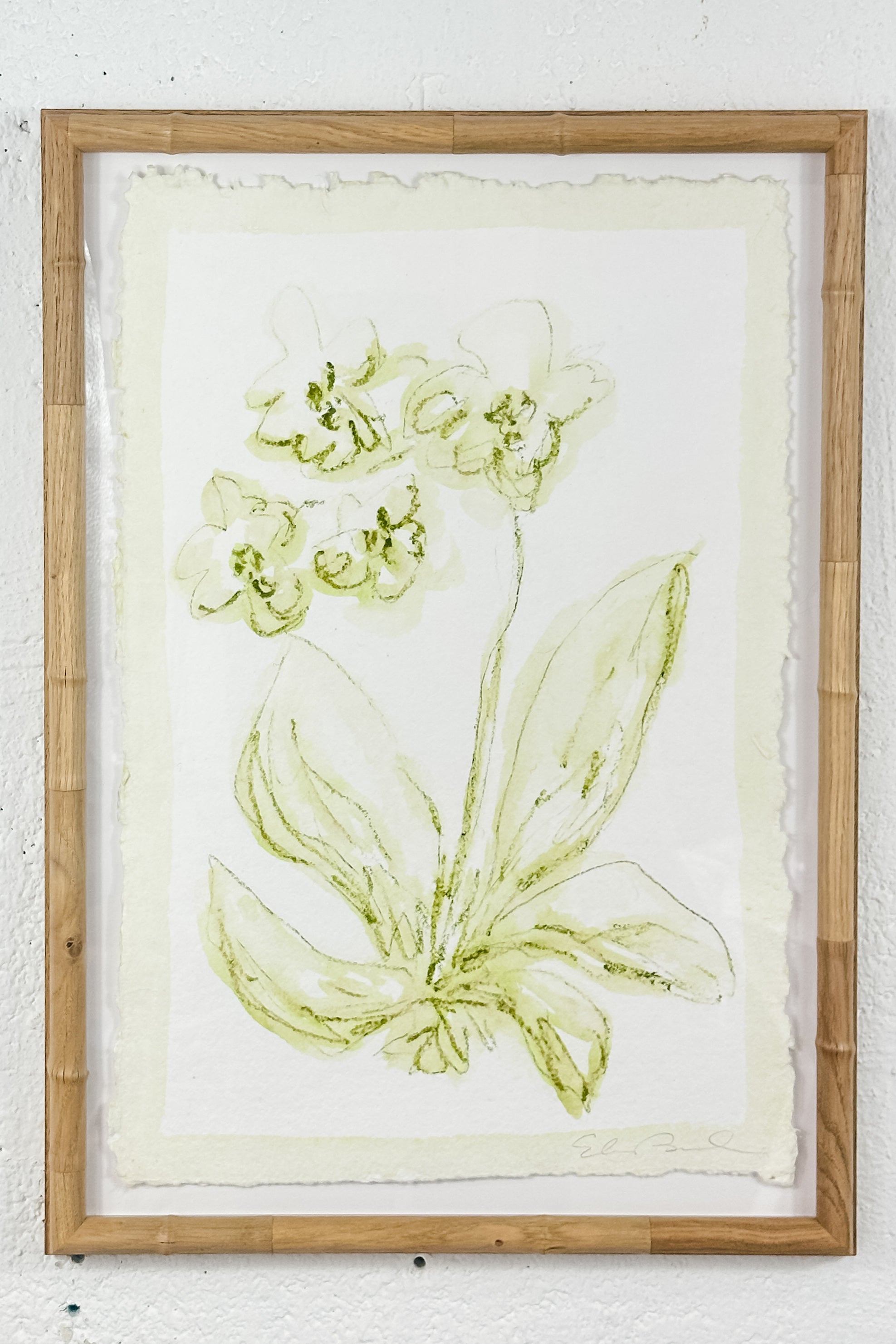 Toile Orchid No. 1