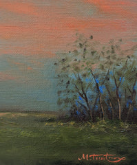 Evening Landscape Study