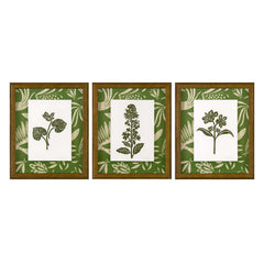 Peruvia Lily Green 01A