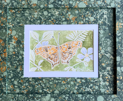 Butterflies 032
