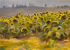 Ready for the Harvest