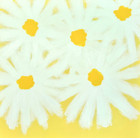 Daisy Days 1