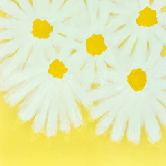 Daisy Days 2