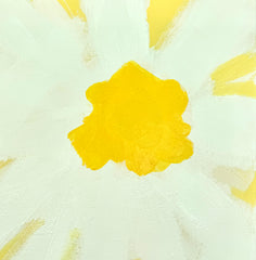 Daisy Days 2