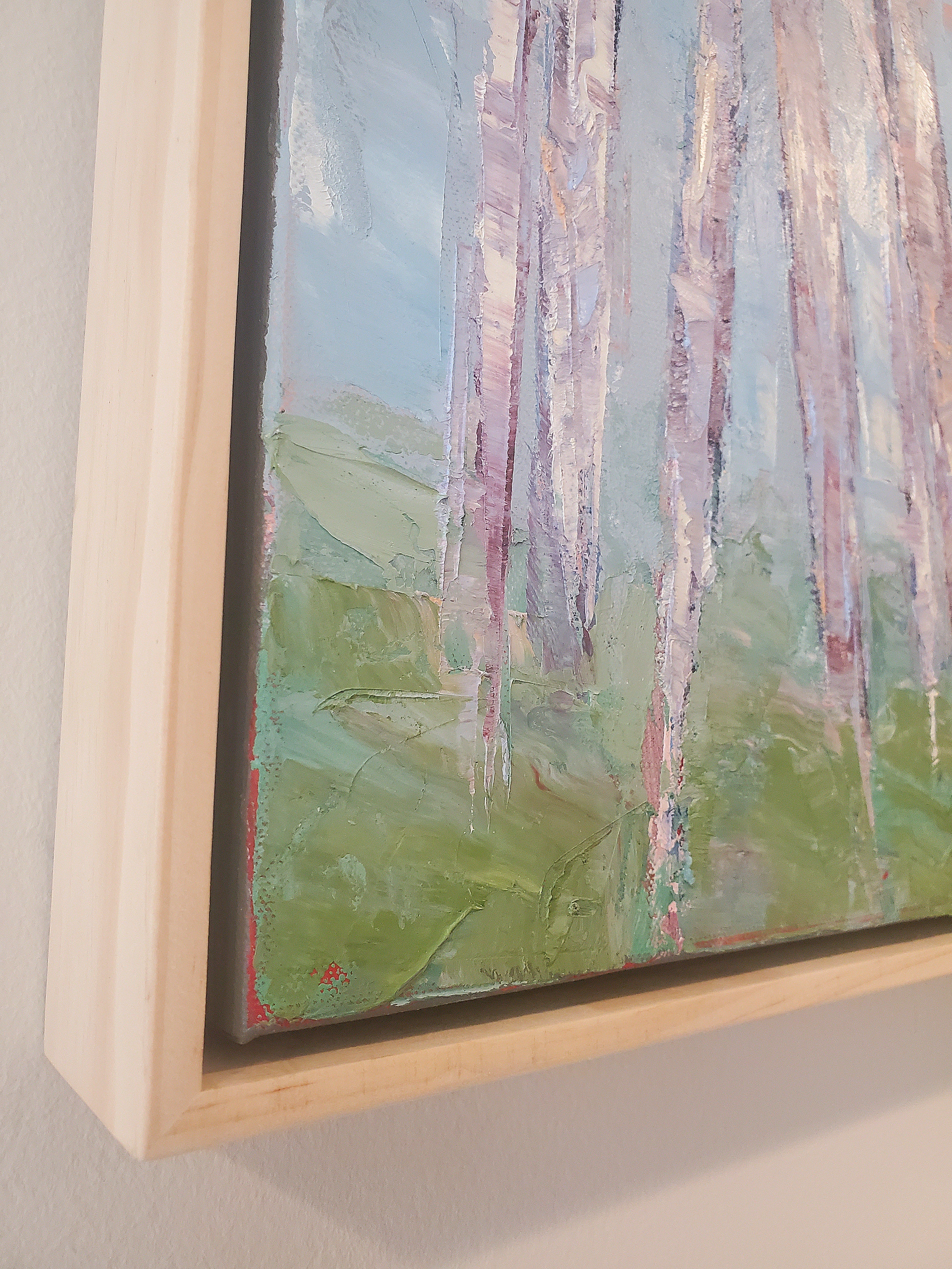 The Colors of the Forest