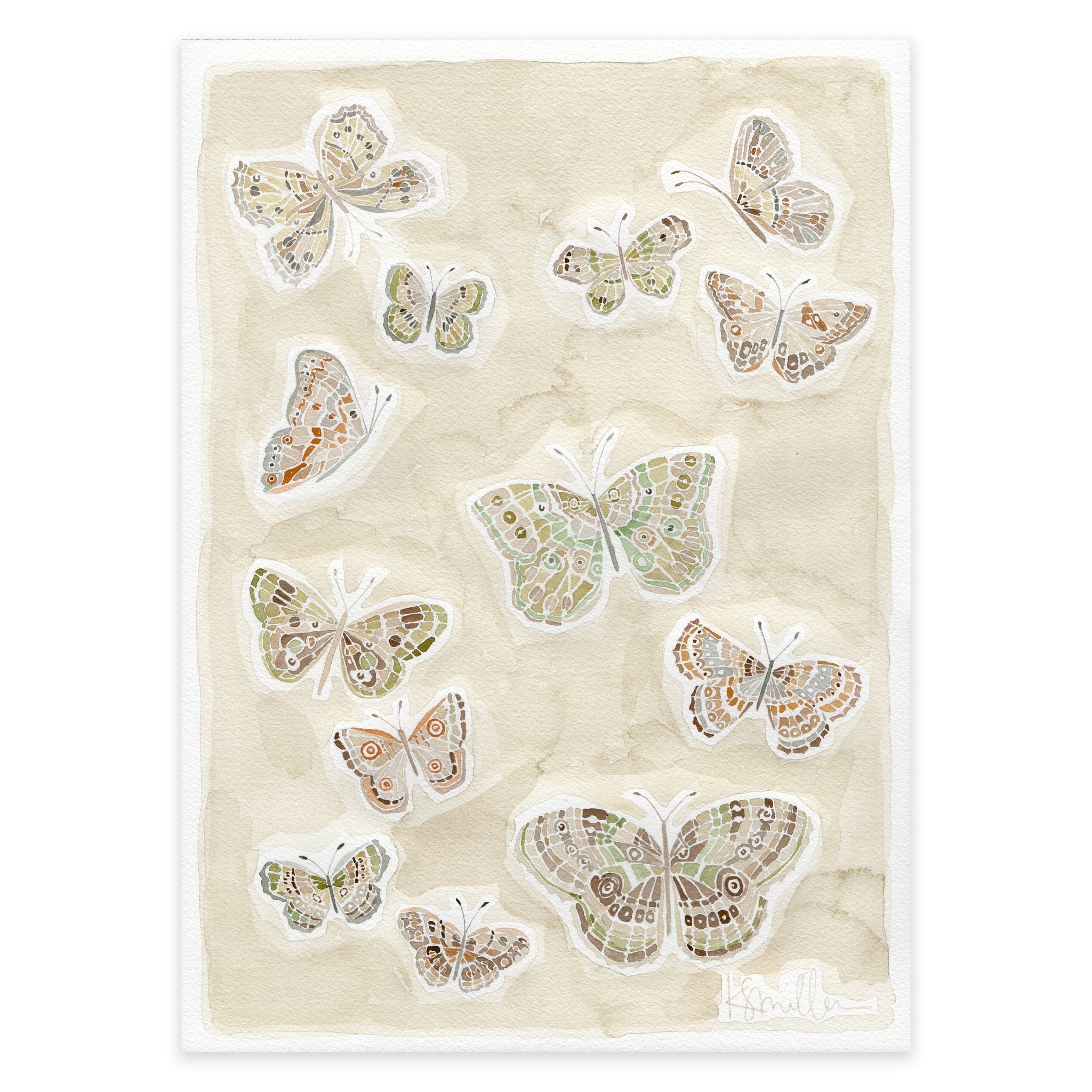 Butterflies 019