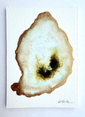 Oyster Watercolor 1
