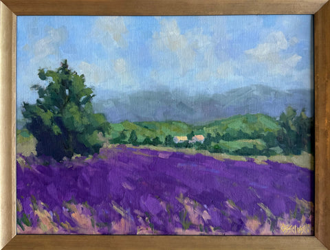 Lavender in the Luberon