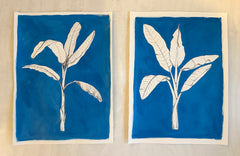 Blue Fronds
