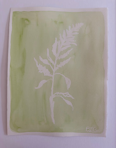 Green Fern