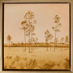 Longleaf Pines