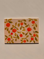Orange Grove on Blush