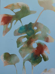 Monstera 1