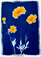 Summer Susans II