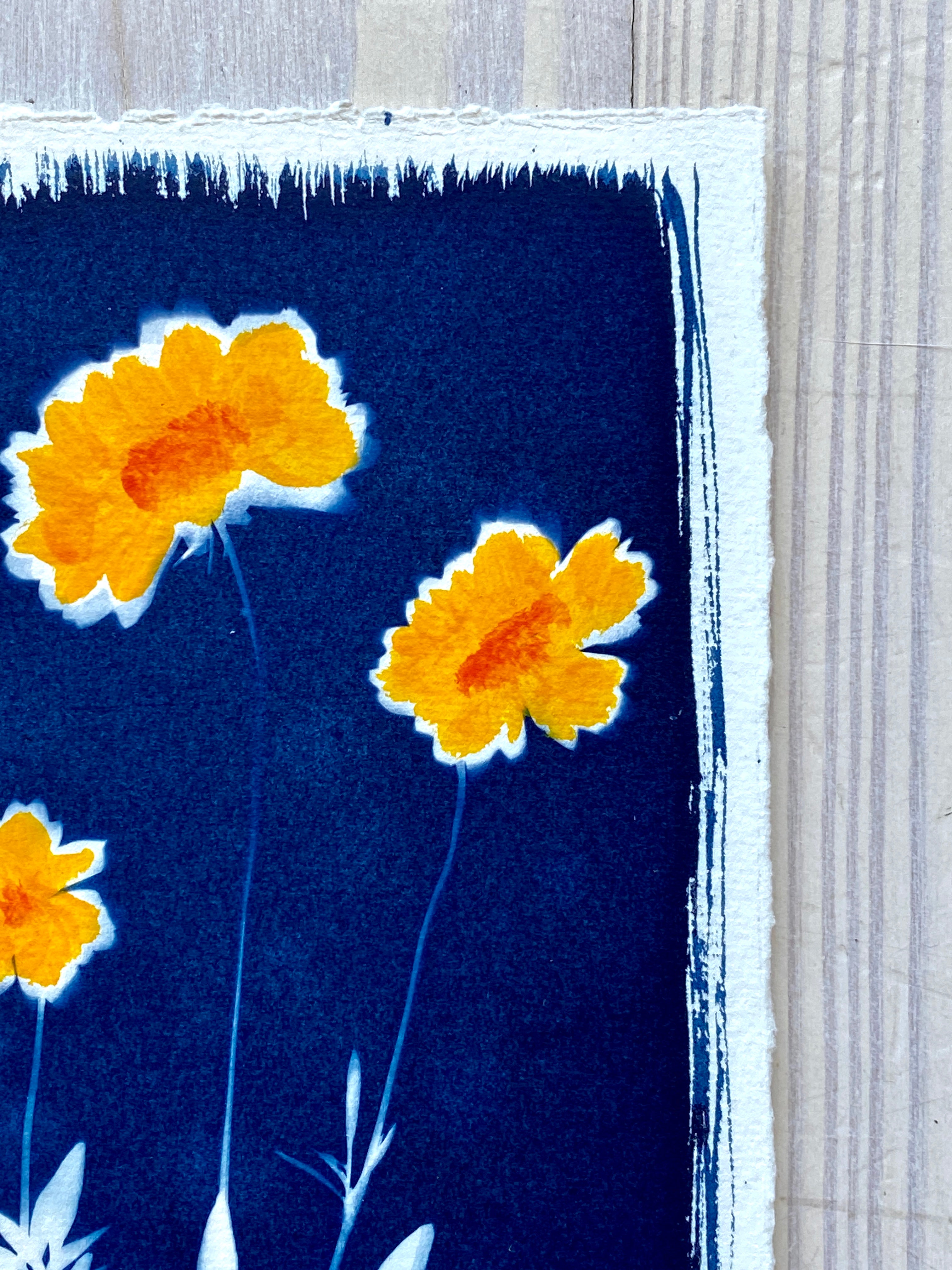 Summer Susans II
