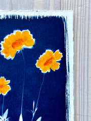 Summer Susans II