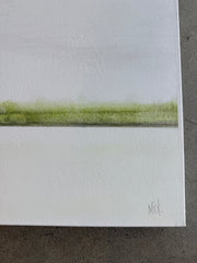 Mossy Marsh