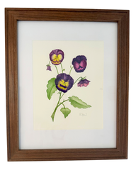 Pansies