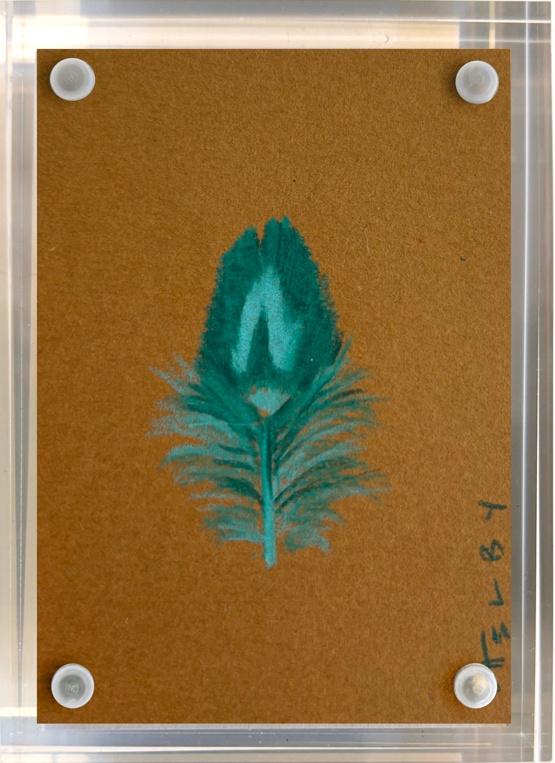 Pheasant Feather (Brown)