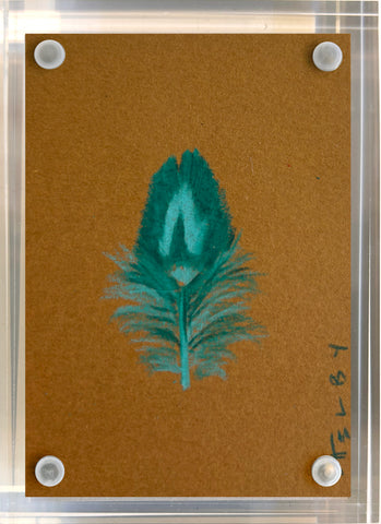 Pheasant Feather (Brown)