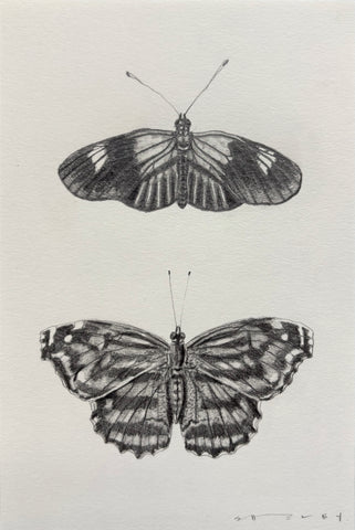 Postman & Mexican Bluewing Butterfly