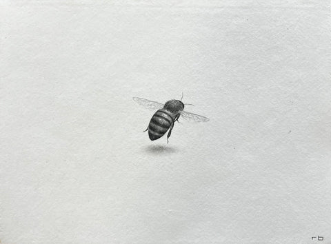 Bee VI