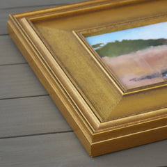 Spartina Grass