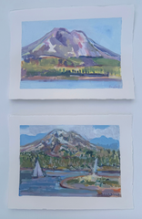 South Sister Study