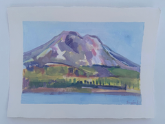 South Sister Study