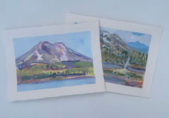 South Sister Study
