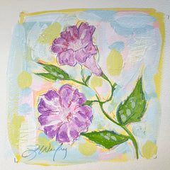 September Morning Glory